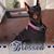 Debbie Jackson Aughtman's profile image