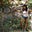 Meena Haque's profile image