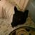 Robert McNabb's profile image