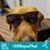 Susan E Kelly's profile image