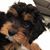 Debbie Schumann's profile image