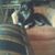Brian Shrader's profile image