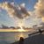 Cynthia Heathcoe's profile image