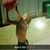 Deavonte Zachery's profile image
