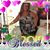 Julia Seaver Chavarria's profile image