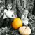 Kathy Haslach Miccoli's profile image