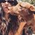 Lisa Porter's profile image