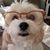 Kristy Buskirk's profile image
