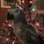 Nancy Ragsdale Vine's profile image