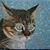 Joan Schauwecker's profile image