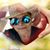 Luz Belen Oyola's profile image