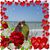Jeanne Poling Gorski's profile image
