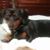 Nadine Boylston's profile image