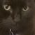 Kat Garden's profile image