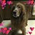 Beth Miller Mull's profile image