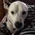 Wendy Bottrell's profile image