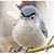 Gini Gottman's profile image