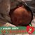 Diana Anchondo's profile image
