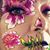 Laura L Lind's profile image