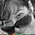 Debi Miller Holm's profile image