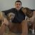 Neil J Constancia's profile image