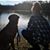 Jenny Kish's profile image