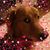 Jan Bowman's profile image