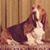 Sandie Roush's profile image