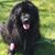 Lisa Meltesen's profile image