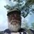 Charles Gould's profile image