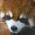 Trace Ogaz's profile image