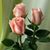 Glendy Barrera's profile image