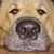 Alan Brown's profile image