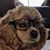 Gilbert Alonzo's profile image
