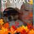 Elissa Behling Campbell's profile image