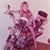Danelle Collins's profile image
