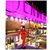 Sarah Toscano Chavez's profile image