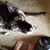 Rebekah Talley Spooner's profile image