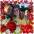Stacey McCaffrey's profile image