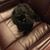 Gretchen Robb Ritterling's profile image