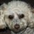 Leissa Wages's profile image
