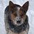 Deb James's profile image