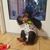 Cathy Hamblin Herr's profile image