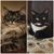 Sandy Shoemaker-Scott's profile image