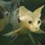 Don Marso's profile image