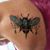 Debbie Cox Colini's profile image