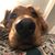 Kellye Coffman Valenzuela's profile image