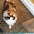 Nancy C Wheatley's profile image
