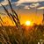 Lynn Marie Norton's profile image