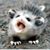 Tim Cox's profile image